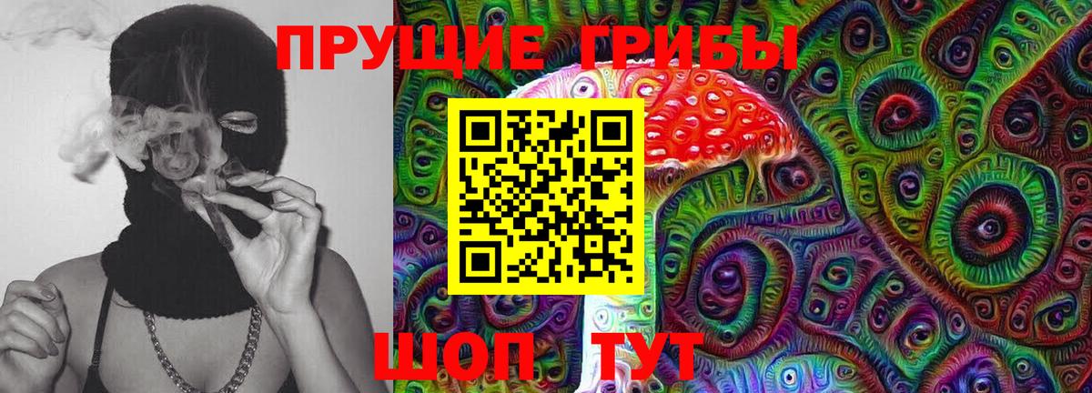 Псилоцибиновые грибы прущие грибы  Вход с VPN  Псилоцибиновые грибы Psilocybe  Нурлат 