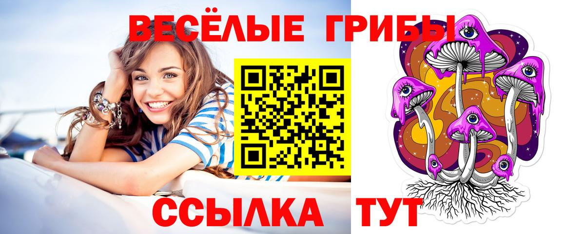 Галлюциногенные грибы Psilocybe Нурлат